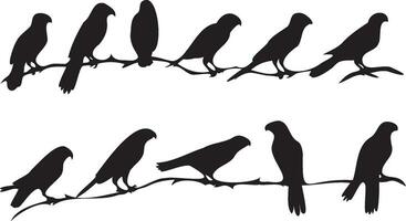 conjunto de aves grupo sentado en árbol vector