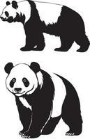 panda bear vector wild animal