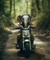 a cute baby elephant on a minibike riding through a forest photo