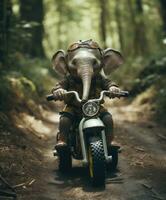 un linda bebé elefante en un mini bicicleta montando mediante un bosque foto