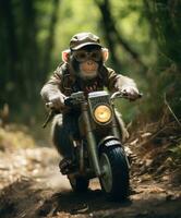 a chimpanzee on a minibike riding through a forest photo