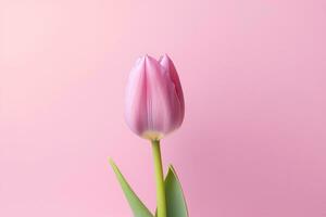 tulipán con salir en un rosado antecedentes de cerca con espacio ai generado, ai generativo foto