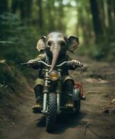 un linda bebé elefante en un mini bicicleta montando mediante un bosque foto