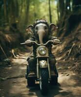 un linda bebé elefante en un mini bicicleta montando mediante un bosque foto