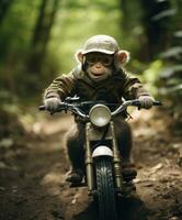 a chimpanzee on a minibike riding through a forest photo