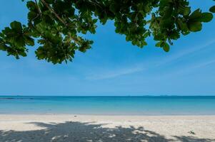 Sand beach with blue sea and sky with leaves at Lanta island, Krabi, Thailand photo