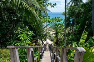 The wooden bridge goes down to the Naithon beach at Phuket, Thailand photo