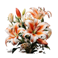 Lily Flower Watercolor Png, Lily Flower Transparent Background, AI Generative png