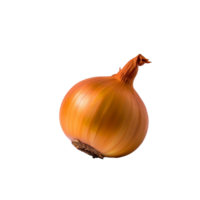 Zwiebel, Zwiebel png, Zwiebel mit transparent Hintergrund, ai generativ png