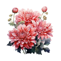 chrysant bloem, chrysant bloem waterverf, transparant achtergrond, ai generatief png