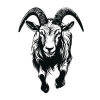 Portrait of a running goat with long horns. Simple vector illustration, monochrome, isolated on white background.