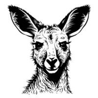 Cute kangaroo, monochrome portrait. Simple vector style, black and white illustration isolated on background.