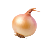 Onion, Onion Png, Onion With Transparent Background, AI Generative png