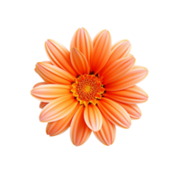 orange blomma, orange blomma png, orange blomma med transparent bakgrund, ai generativ png