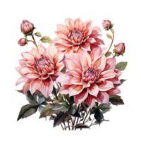 Dahlie Blume Aquarell, Dahlie Blume Aquarell png, transparent Hintergrund, ai generativ png