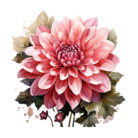 Dahlie Blume Aquarell, Dahlie Blume Aquarell png, transparent Hintergrund, ai generativ png