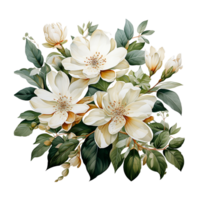 jasmin blomma, jasmin blomma png, jasmin transparent blomma, ai generativ png