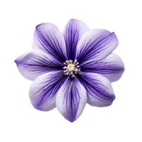 Purper bloem, Purper bloem png, Purper bloem met transparant achtergrond, ai generatief png