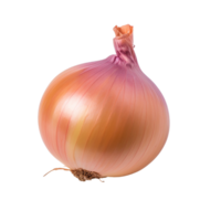 Onion, Onion Png, Onion With Transparent Background, AI Generative png