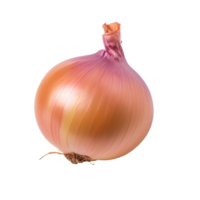 cebola, cebola png, cebola com transparente fundo, ai generativo png