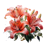 Lily Flower Watercolor Png, Lily Flower Transparent Background, AI Generative png