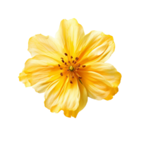 Gelb Blume, Gelb Blume png, Gelb Blume mit transparent Hintergrund, ai generativ png