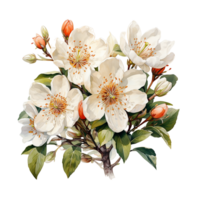 Jasmine Flower, Jasmine Flower Png, Jasmine Transparent Flower, AI Generative png