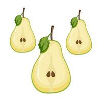 Set of three green pear fruits on white on Isolated background, Sweet pear healthy fruits vector