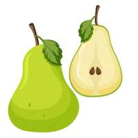 Two pieaces of green pear fruits on white on Isolated background, Sweet pear healthy fruits vector