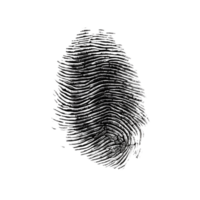 Fingerprint, Fingerprint Png, Fingerprint Sign, Fingerprint Icon Png, Transparent Background, AI Generative png