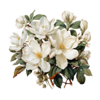 Jasmin Blume, Jasmin Blume png, Jasmin transparent Blume, ai generativ png