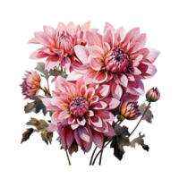 Dahlia Flower Watercolor, Dahlia Flower Watercolor Png, Transparent Background, AI Generative png