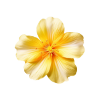 geel bloem, geel bloem png, geel bloem met transparant achtergrond, ai generatief png