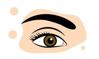 Female eye on white background vector