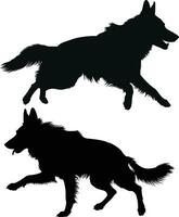 Vector silhouette illustration of German Shepherd dog in running poses isolated on white background