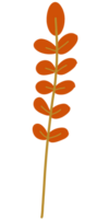 A Tree leaf orange color tone png