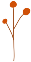 ein Baum Blatt Orange Farbe Ton png