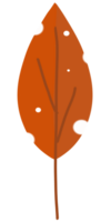 A Tree leaf orange color tone png