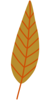 A Tree leaf orange color tone png