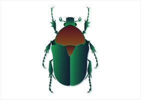 Protaetia Beetle Vector Art Isolated on White Background