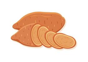 Vector illustration of sweet potato fresh vegetable. Delicious healthy food