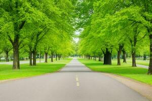 hermosa paisaje parque con arboles y Dom. vistoso follaje en el parque. Pro foto