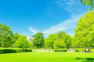 Beautiful landscape park with trees and sun. Colorful foliage in the park. Pro Photo