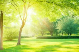 Beautiful landscape park with trees and sun. Colorful foliage in the park. Pro Photo