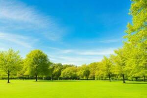 hermosa paisaje parque con arboles y Dom. vistoso follaje en el parque. Pro foto