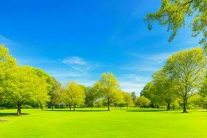 Beautiful landscape park with trees and sun. Colorful foliage in the park. Pro Photo