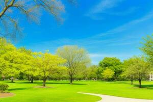 Beautiful landscape park with trees and sun. Colorful foliage in the park. Pro Photo