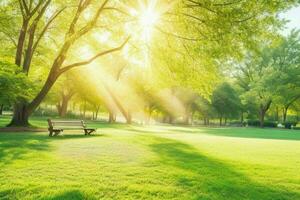 Beautiful landscape park with trees and sun. Colorful foliage in the park. Pro Photo