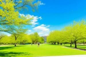 Beautiful landscape park with trees and sun. Colorful foliage in the park. Pro Photo