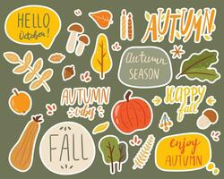 Vector illustration of a doodle set of stickers on the theme of autumn. Inscriptions and objects of nature. Fall decorations.